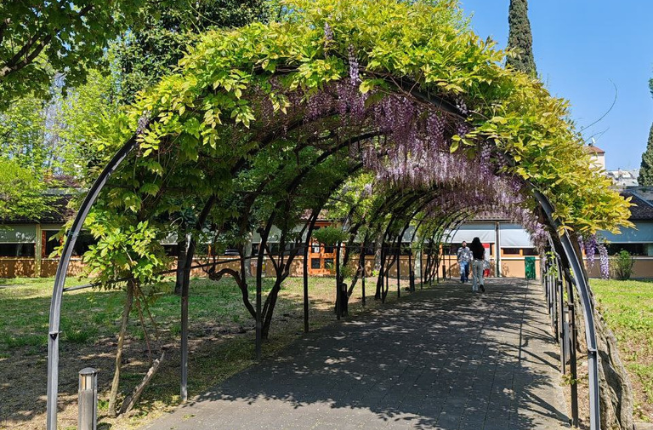 Collegamento a Consegna dei Premi di Studio della Magistrale